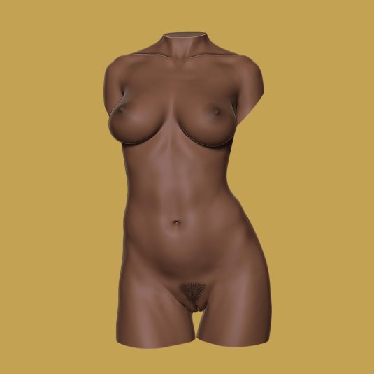 Женский торс