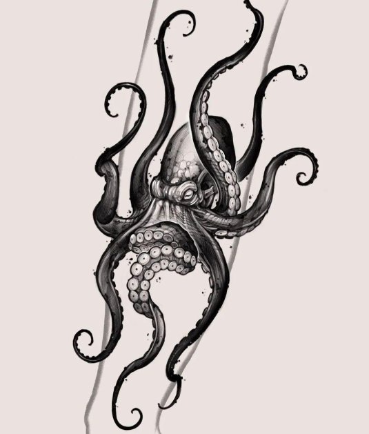 Осьминог кракен