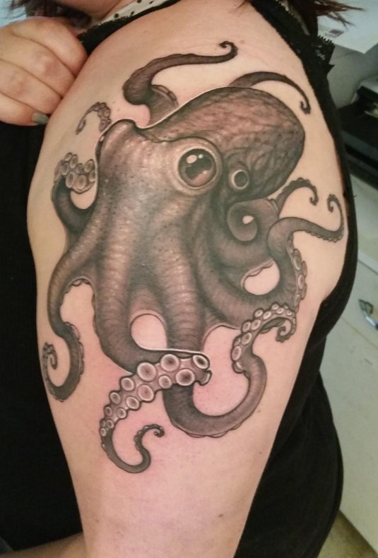 Осьминог кракен tattoo