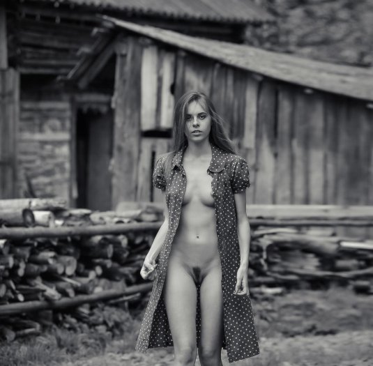 Деревенские дома