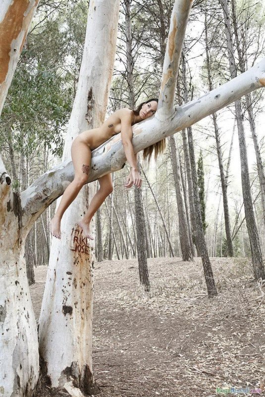Голая на дереве