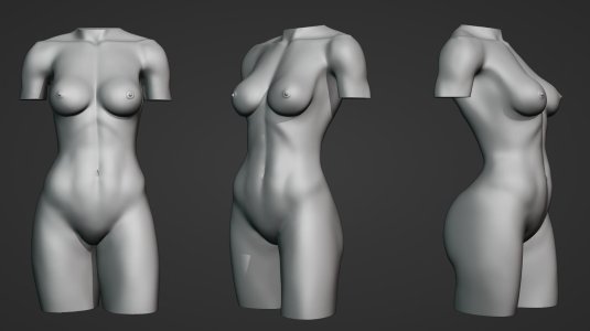 Женский торс