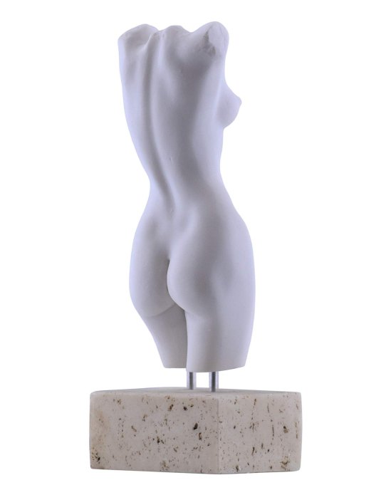 Женский торс