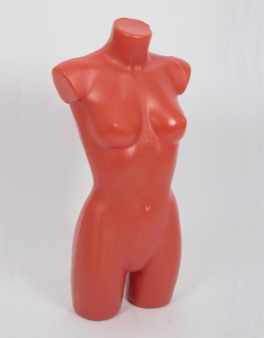 Женские торсы