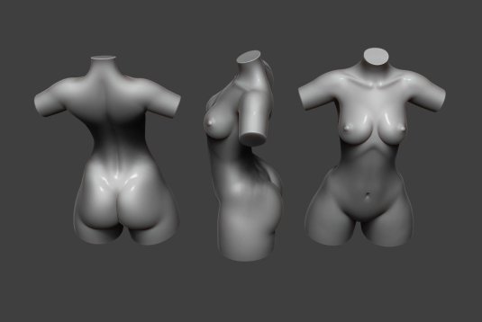 Торс женский