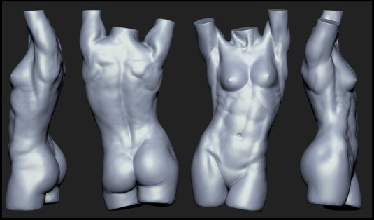 Торс женский