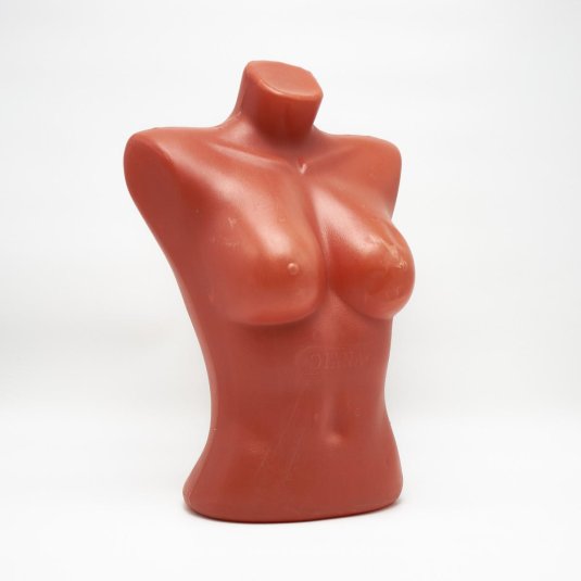 Торс женский