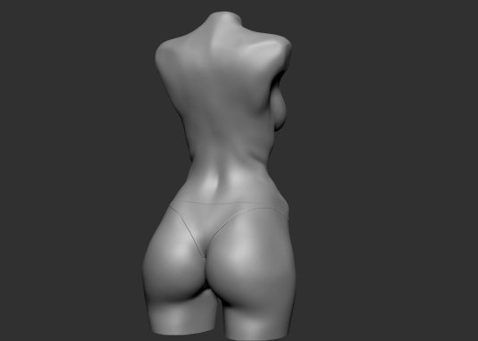 Женский торс