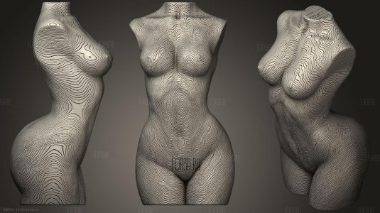 Женский торс