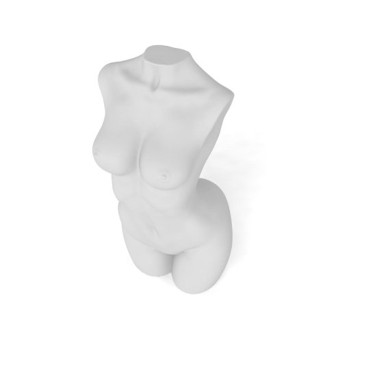 Бюст женский