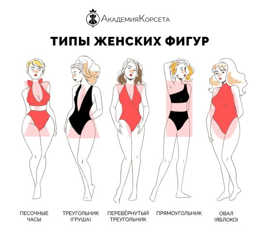 Женская фигура типы