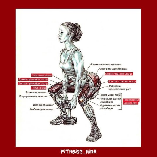 Приседания плие мышцы задействованы