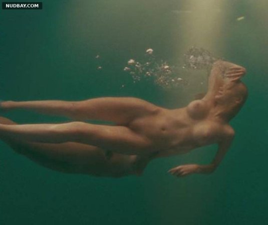 Райли стил пираньи д ню