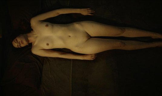 Художественная эротика