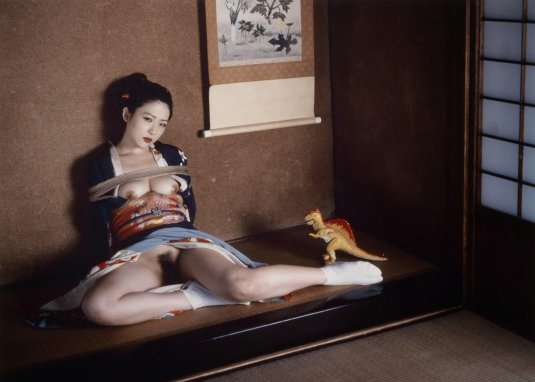 Японский фотограф нобуёси араки