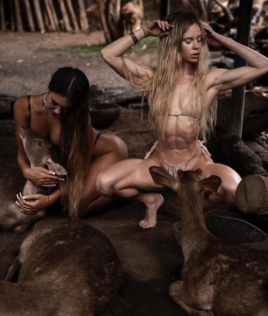 Животное олень