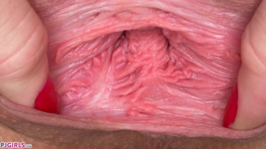 Фотографии