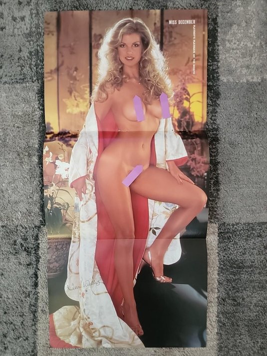 Модели плейбой