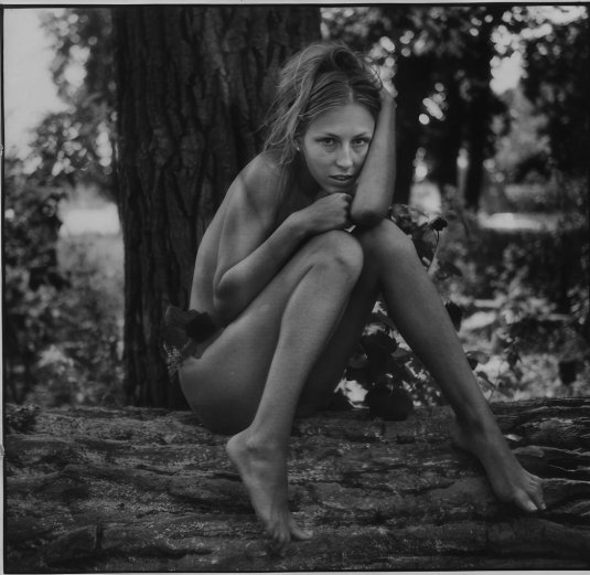 Николай сергеевич бахарев