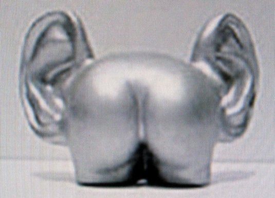 Попа с ушами