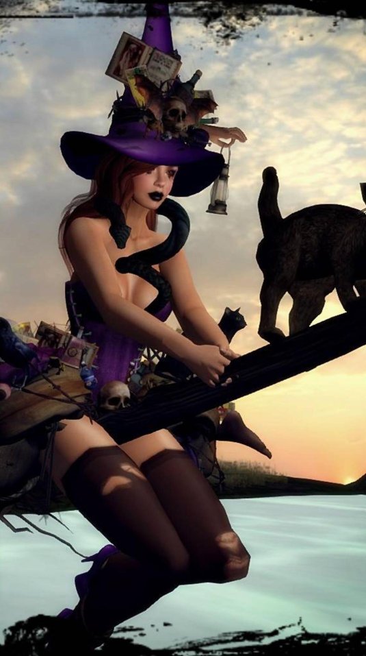 Ведьма на метле