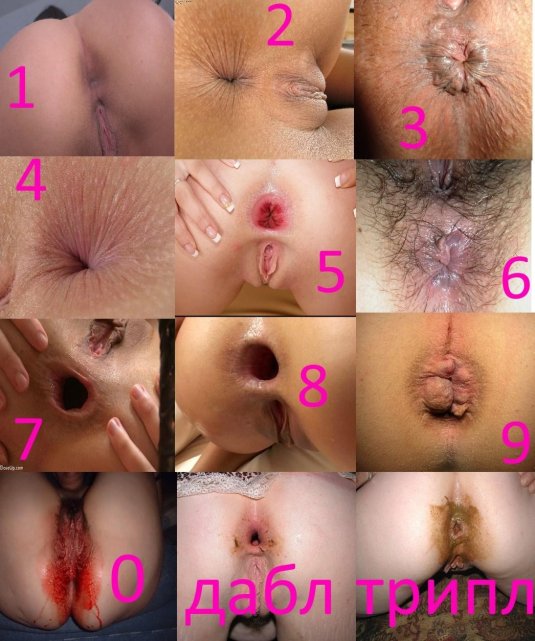 Анус женщин