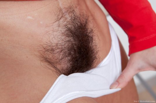 Волосики под трусиками