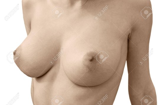 Женская грудь спереди