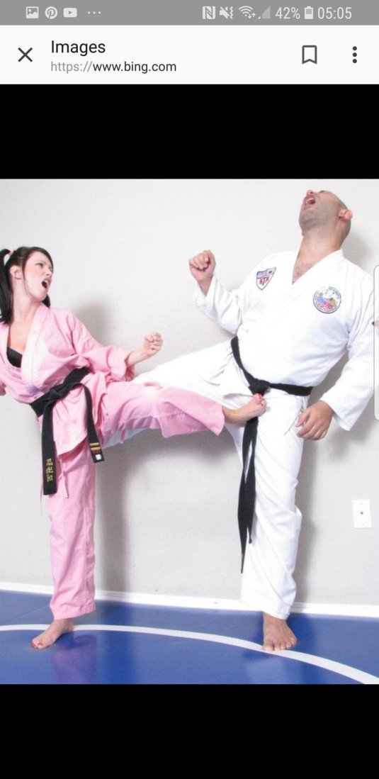 Каратистка groin kick