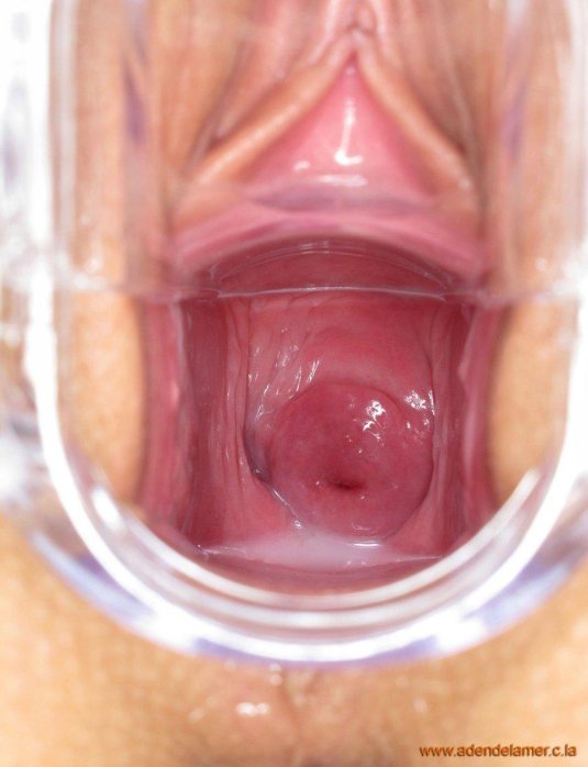 Видеокамера внутри влагалища