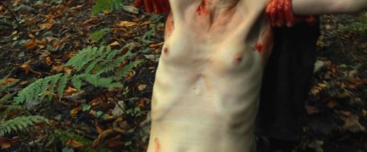 Обнаженная актриса