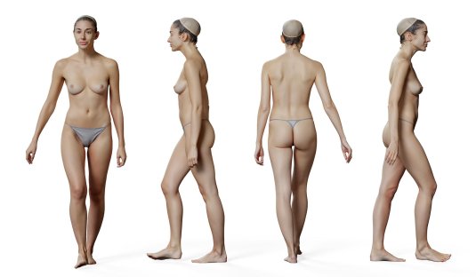 Голое женское тело референс